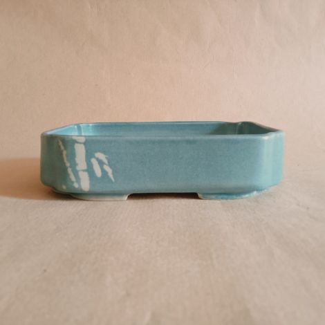 Vaso azzurro rettangolare per bonsai shohin con disegno di bambù a contrasto